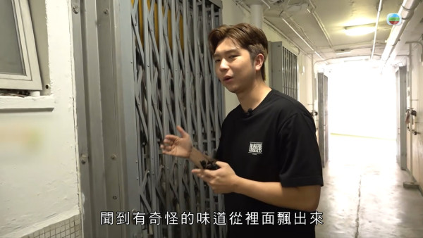 屯門公屋|蝴蝶邨驚現「曱甴屋」!直擊走廊遍地小強屍體 鄰居崩潰:每晚飛幾十隻入屋