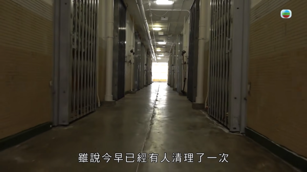 屯门公屋｜蝴蝶邨惊现“蟑螂屋”！直击走廊遍地小强尸体 邻居崩溃：每晚飞几十只入屋