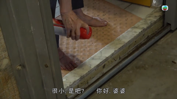 屯门公屋｜蝴蝶邨惊现“蟑螂屋”！直击走廊遍地小强尸体 邻居崩溃：每晚飞几十只入屋