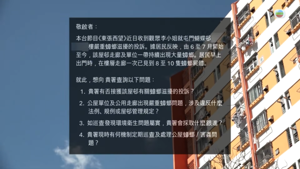 屯門公屋|蝴蝶邨驚現「曱甴屋」!直擊走廊遍地小強屍體 鄰居崩潰:每晚飛幾十隻入屋