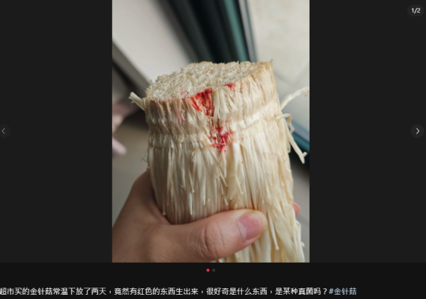 金針菇放2日驚現恐怖「鮮紅血斑」！網民警告：劇毒黏菌食完即入醫院  附正確雪櫃消毒法