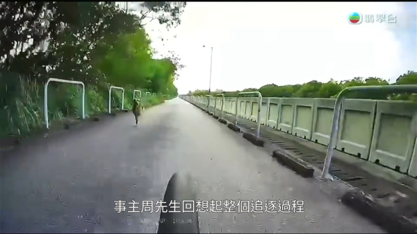 元朗南生圍再現狗隻狂追單車驚險事件！狗主辯稱養狗陪阿媽：「冇咗隻狗我阿媽仲危險」