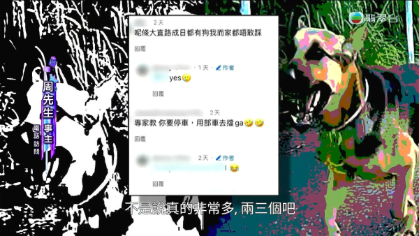 元朗南生圍再現狗隻狂追單車驚險事件！狗主辯稱養狗陪阿媽：「冇咗隻狗我阿媽仲危險」