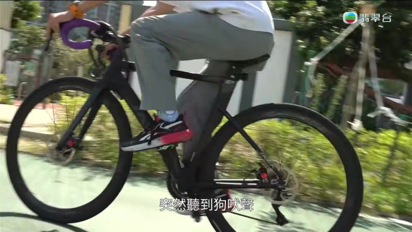 元朗南生圍再現狗隻狂追單車驚險事件！狗主辯稱養狗陪阿媽：「冇咗隻狗我阿媽仲危險」