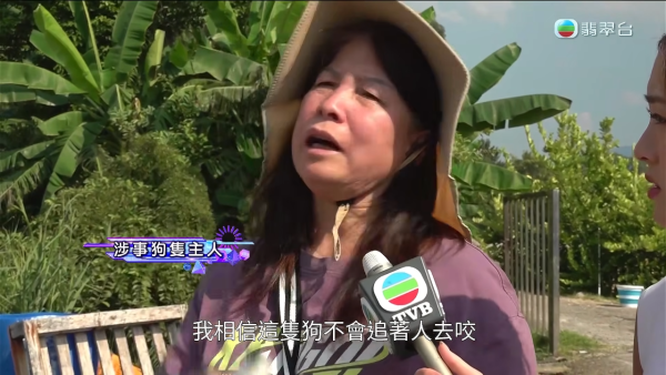 元朗南生圍再現狗隻狂追單車驚險事件！狗主辯稱養狗陪阿媽：「冇咗隻狗我阿媽仲危險」