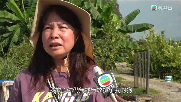 元朗南生圍再現狗隻狂追單車驚險事件！狗主辯稱養狗陪阿媽：「冇咗隻狗我阿媽仲危險」