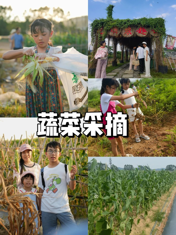 圖片來源:小紅書@深圳光明农趣谷 深圳親子農場5大推介!萌寵互動/窯烤薄餅DIY/無動力樂園