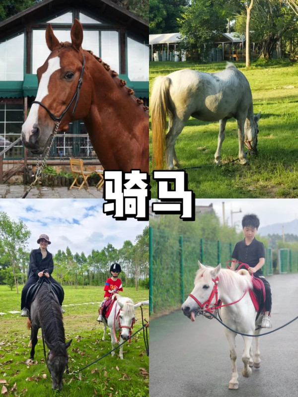 深圳親子農場5大推介!萌寵互動/窯烤薄餅DIY/無動力樂園