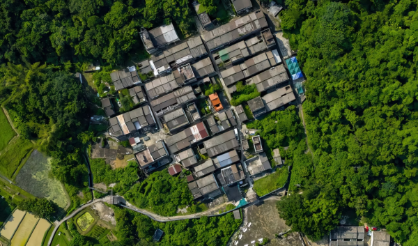 香港行山節2026（圖片來源︰行山樂）