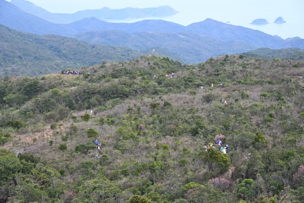 香港行山節，圖片為過往活動圖片，只供參考之用。（圖片來源︰行山樂）