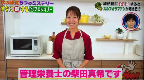 日本節目《Sore Dame！ 》