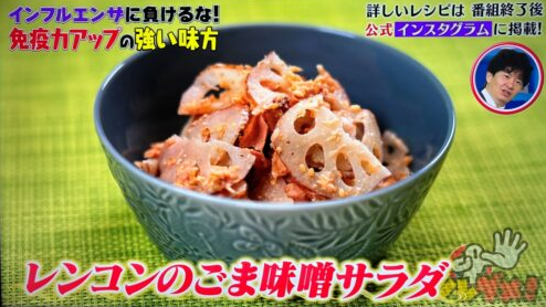 日本節目《Sore Dame！ 》