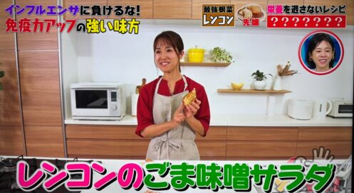 日本節目《Sore Dame！ 》