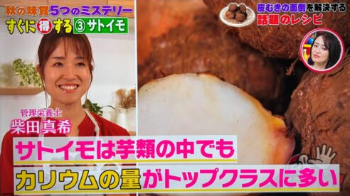 日本節目《Sore Dame！ 》