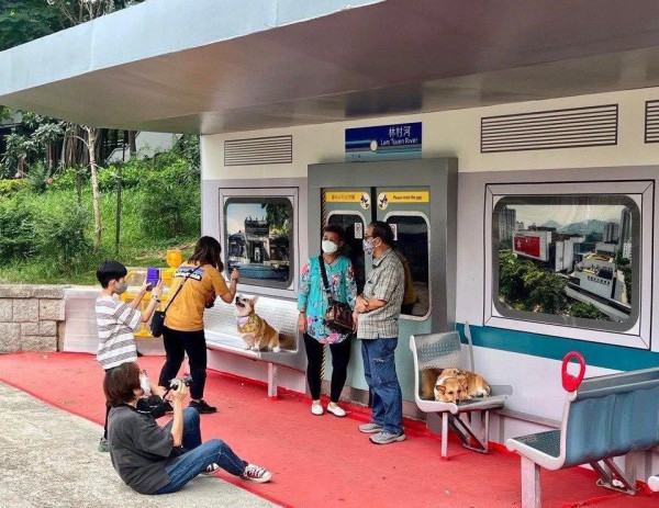 大埔驚現港鐵車卡外型避雨亭！1:1還原退役「烏蠅頭」成隱世打卡位 網民：上次等左好耐都唔開車