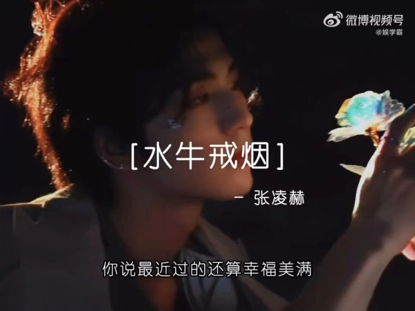 逐玉｜張凌赫男神背景起底8件事！190cm理工學霸非科班出身+疑似全家福瘋傳惹熱議