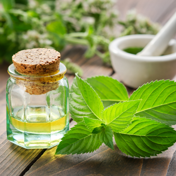垃圾桶發臭惹蚊蟲點算好？專家教3大天然除臭秘訣 鋪張廚房紙+1樣嘢即解臭！