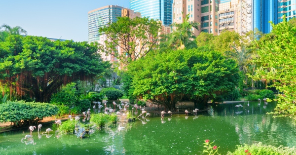 香港能量磁场好去处！热推22大散心胜地 中环西营盘极速回血去负能量
