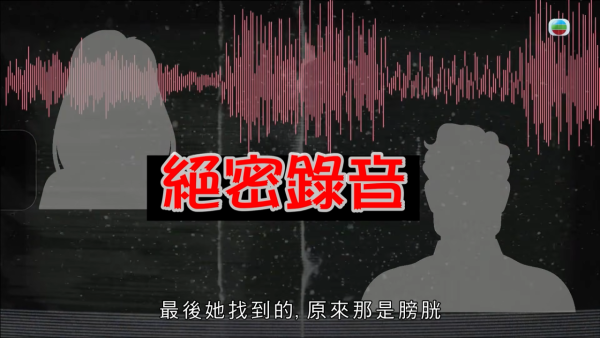 深水埗獸醫診所驚爆無牌行醫黑幕 布偶貓絕育後慘死  絕密錄音揭誤將膀胱當子宮切除