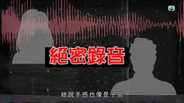 深水埗獸醫診所驚爆無牌行醫黑幕 布偶貓絕育後慘死  絕密錄音揭誤將膀胱當子宮切除