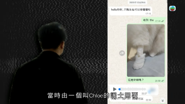 深水埗獸醫診所驚爆無牌行醫黑幕 布偶貓絕育後慘死  絕密錄音揭誤將膀胱當子宮切除
