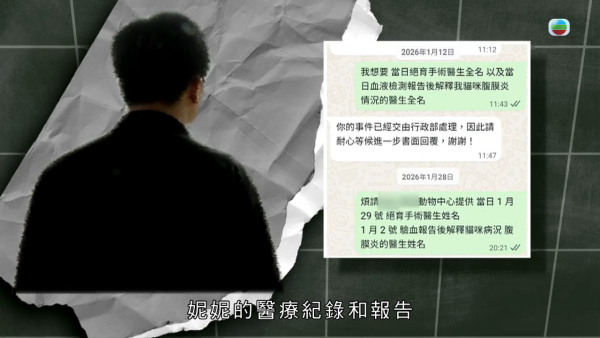 深水埗獸醫診所驚爆無牌行醫黑幕 布偶貓絕育後慘死  絕密錄音揭誤將膀胱當子宮切除