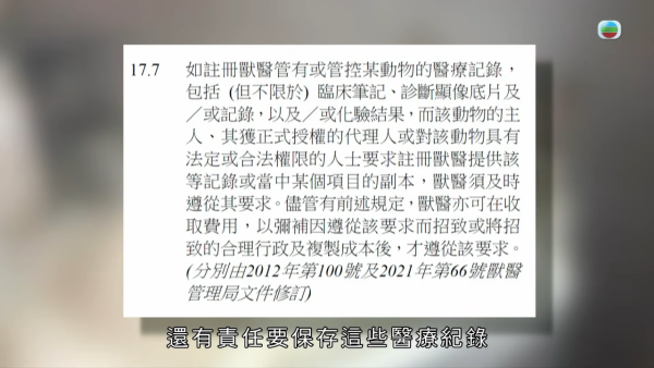 深水埗獸醫診所驚爆無牌行醫黑幕 布偶貓絕育後慘死  絕密錄音揭誤將膀胱當子宮切除