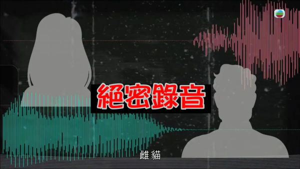深水埗獸醫診所驚爆無牌行醫黑幕 布偶貓絕育後慘死  絕密錄音揭誤將膀胱當子宮切除