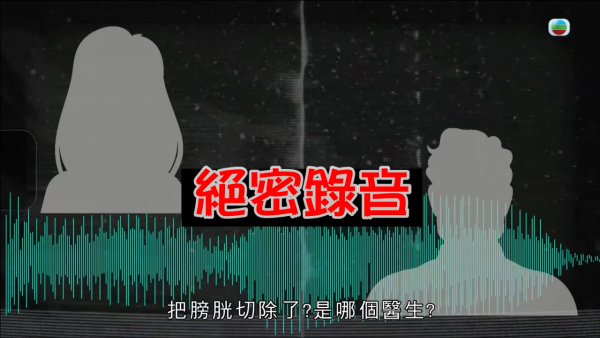 深水埗獸醫診所驚爆無牌行醫黑幕 布偶貓絕育後慘死  絕密錄音揭誤將膀胱當子宮切除