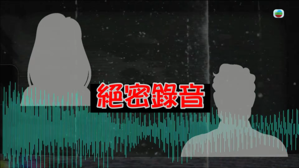 深水埗獸醫診所驚爆無牌行醫黑幕 布偶貓絕育後慘死  絕密錄音揭誤將膀胱當子宮切除