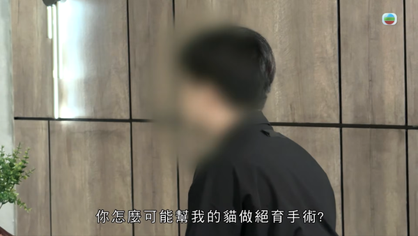 深水埗獸醫診所驚爆無牌行醫黑幕 布偶貓絕育後慘死  絕密錄音揭誤將膀胱當子宮切除