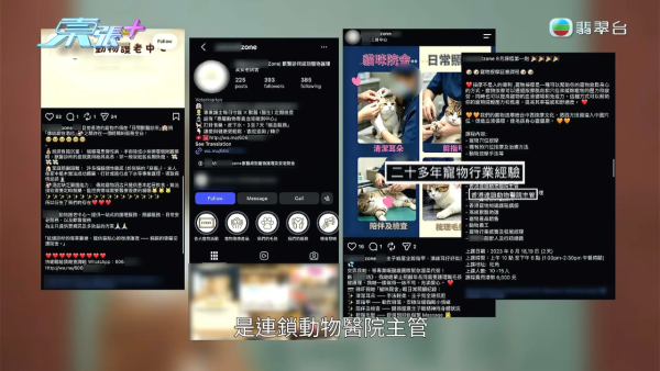 深水埗无牌兽医被揭发仅护士资格！涉事者装傻拒绝承认 竟找新入职医生背锅？