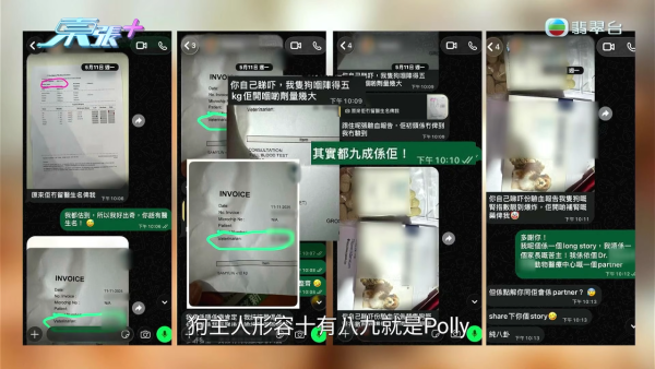 深水埗无牌兽医被揭发仅护士资格!涉事者装傻拒绝承认 竟找新入职医生背锅?