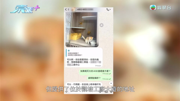 深水埗无牌兽医被揭发仅护士资格！涉事者装傻拒绝承认 竟找新入职医生背锅？