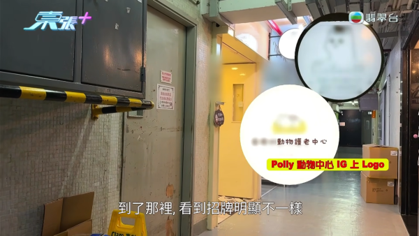 深水埗无牌兽医被揭发仅护士资格！涉事者装傻拒绝承认 竟找新入职医生背锅？