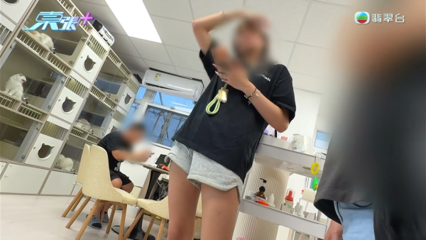 深水埗无牌兽医被揭发仅护士资格!涉事者装傻拒绝承认 竟找新入职医生背锅?