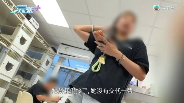 深水埗无牌兽医被揭发仅护士资格!涉事者装傻拒绝承认 竟找新入职医生背锅?