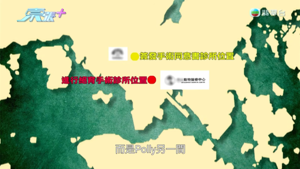 深水埗无牌兽医被揭发仅护士资格！涉事者装傻拒绝承认 竟找新入职医生背锅？