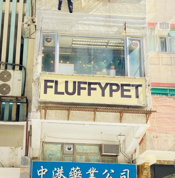 Fluffy Pet Grooming 寵物美容店（圖片來源︰IG@fluffypetgrooming）