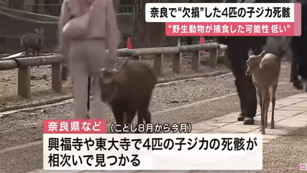 KTV NEWS KTV NEWS