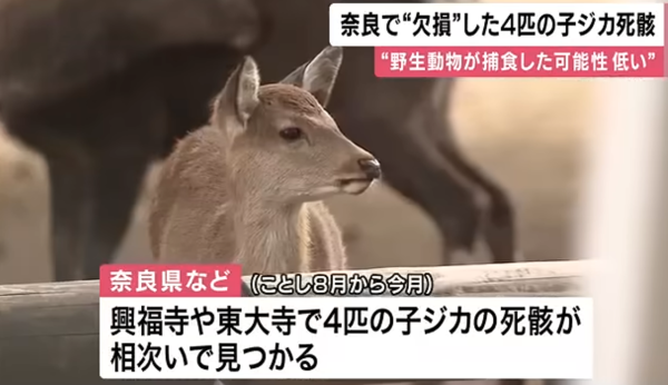 KTV NEWS KTV NEWS
