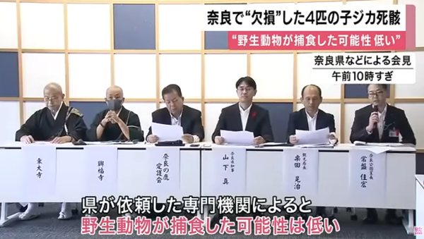 KTV NEWS KTV NEWS