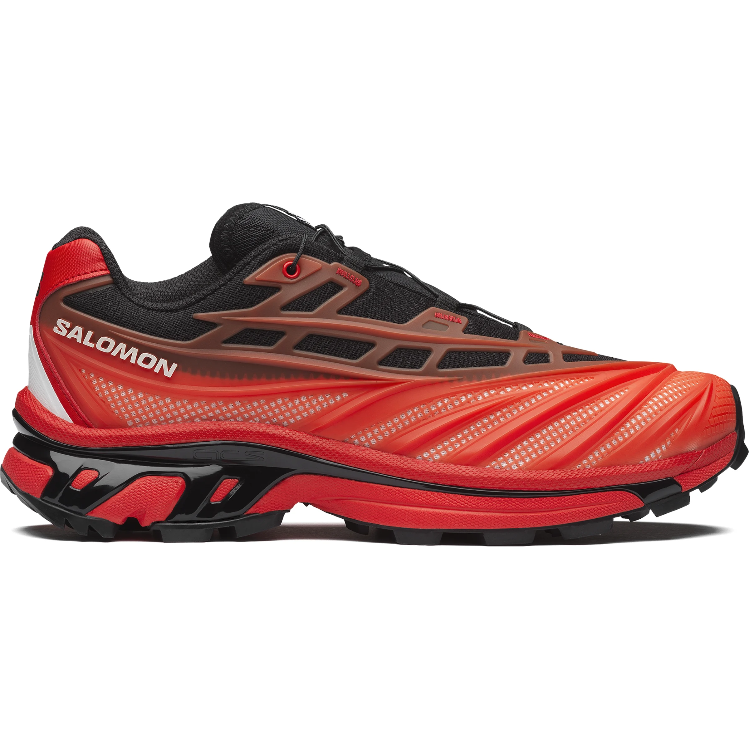 Salomon