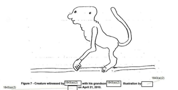 美國公開第七批UFO檔案 目擊者稱見逾2米犬形生物、3.7米翼龍巨鳥 執法人員驚見神秘黑色三角