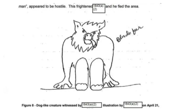美國公開第七批UFO檔案 目擊者稱見逾2米犬形生物、3.7米翼龍巨鳥 執法人員驚見神秘黑色三角