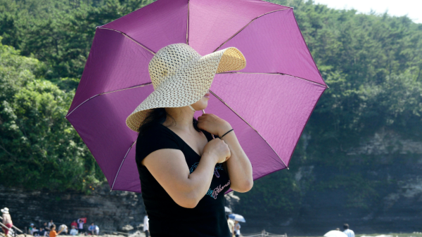 雨傘原來有使用期限?日本製造商揭超過這個年期要換 紫外線塗層功效隨時歸零
