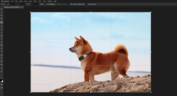 不用買 Adobe Photoshop！專業修圖軟件 ImageFlow 開瀏覽器免費玩　介面極似 PS 兼支援 AI 編輯