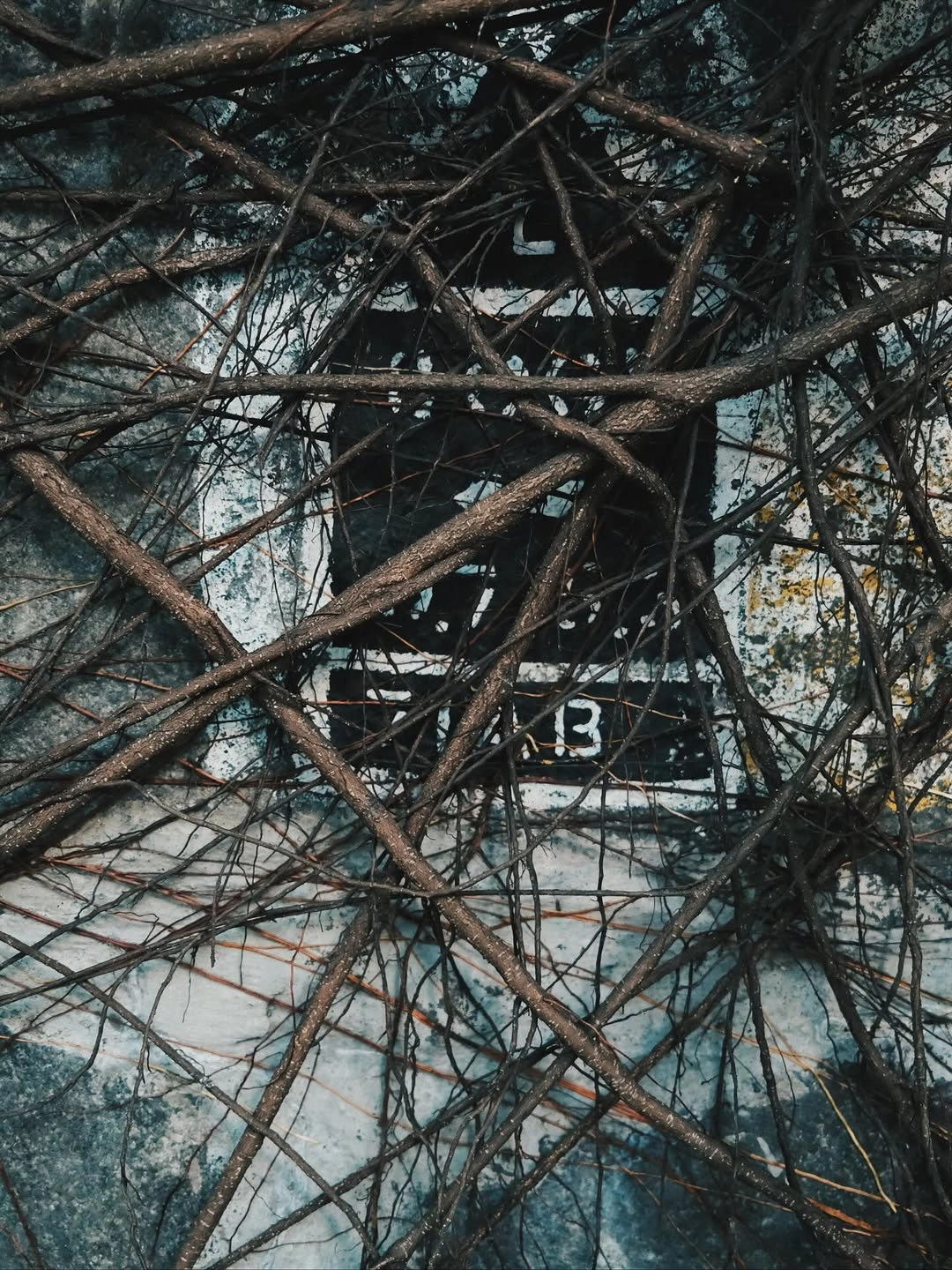 夜麻麻行deTour活動詳情/日期/時間/地點/票價一覽