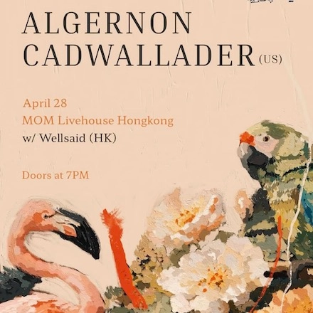 Algernon Cadwallader演唱會 | Algernon Cadwallader 香港專場演唱會 2026優先購票/公開發售日期/票價/場地/座位表一覽