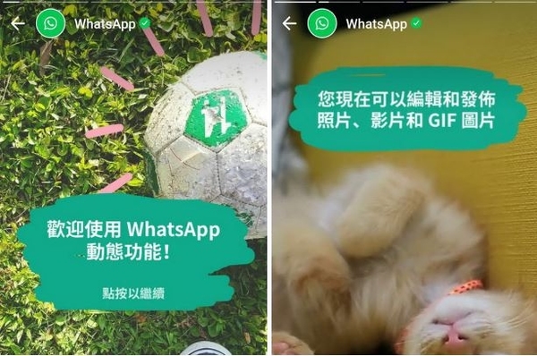 WhatsApp「動態」功能實試 24 小時自動刪除